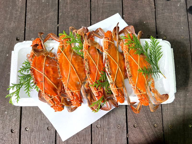 カニ浜茹で（瀬戸内海・笠岡産）　特大 一尾